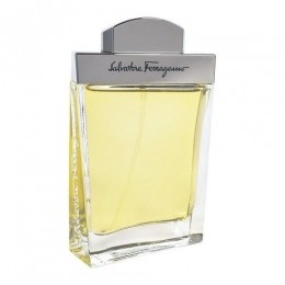 SalvatoreFerragamoHommeEaudeToilette100ml