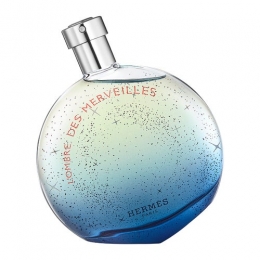 HermsLOmbreDesMerveillesEaudeParfum100ml