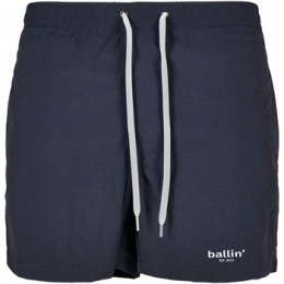 ZwembroekBallinEst2013SmallLogoZwembroek