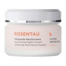 AnnemarieBrlindRoseDewNourishingNachtcreme50ml