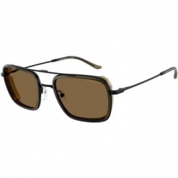 ZonnebrilEmporioArmani0EA2162300171