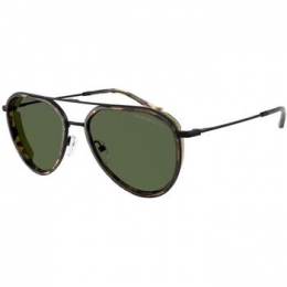 ZonnebrilEmporioArmani0EA2163300171