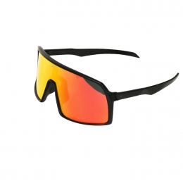 BuckelsSignatureFietsbril1