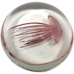 BeeldjesSignesGrimaltPisappelMedusa