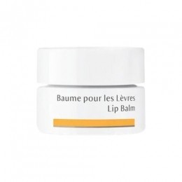 DrHauschkaLipbalm45ml