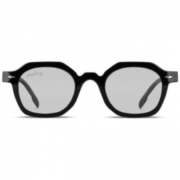 ZonnebrilHerlingCASIMIR1024X297