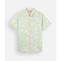 OverhemdLangeMouwOxbowBedruktshirtmetkortemouwenSWELL