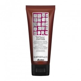 DavinesNaturaltechReplumpingConditioner60ml