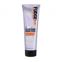 FudgeEverydayCleanBlondeViolet-ToningConditioner250ml