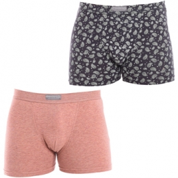 BoxersAbanderadoA5378-1QD