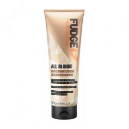 FudgeAllBlondeColourLockConditioner250ml