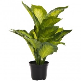 KunstplantCalatheaRoodGroen