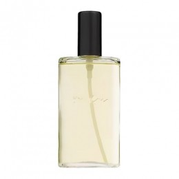 VanGilsStrictlyforMenEaudeToiletteRefill100ml