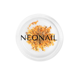 NEONAILTheMuseinYouCollection