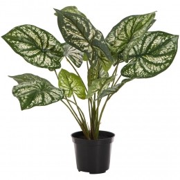 KunstplantInPotDiefenbachiaGroen