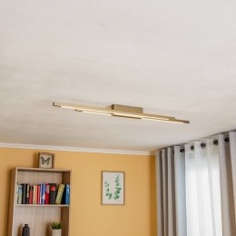 QuitaniTalonLEDplafondlamp2-lampsbronsgeanodiseerd