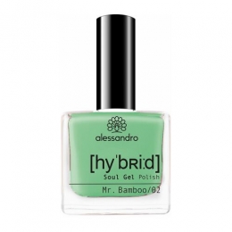 AlessandroHybridSoulGelPolish133MrBamboo8ml