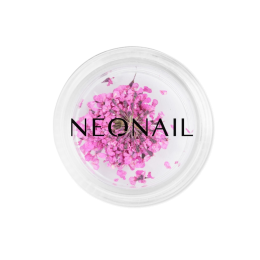 NEONAILTheMuseinYouCollection