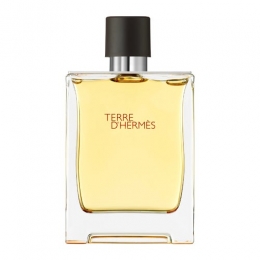 HermsTerreDHermsParfum200ml