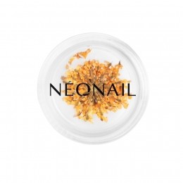 NEONAILTheMuseinYouCollection