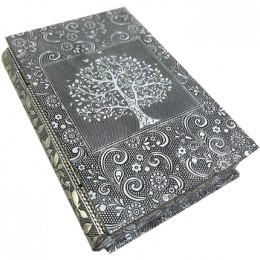 MandenendozenSignesGrimaltBookBookOfLife