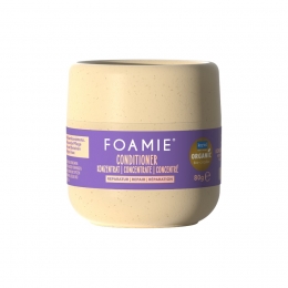 FOAMIERepair