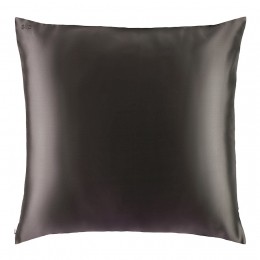 SlipPureSilkPillowcase-Euro