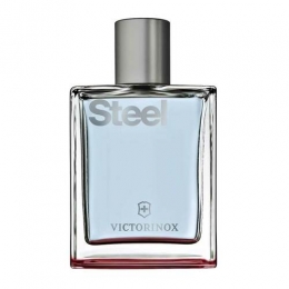 VictorinoxSwissArmySteelEaudeToilette100ml