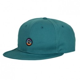 PetPatagoniaScrapEverydayCap