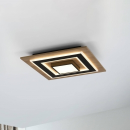 JUSTLIGHTGmbHJUSTLIGHTPlafondlampTolahoekig2-lampshout3000K