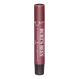 BurtsBeesLipShimmer