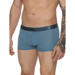 BoxersLiscaBoxerZeus