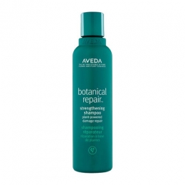 AvedaBotanicalRepairStrengtheningShampoo200ml