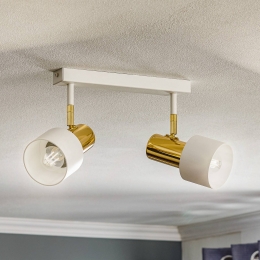 ArgonPlafondspotDestin2-lampswitmessing