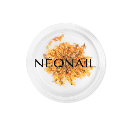 NEONAILNailArtTheMuseinYouCollection