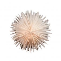 Sterntaler20213D-papierenster45cmwit