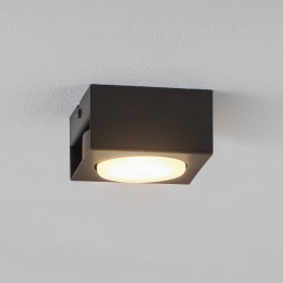 LuminexDownlightIaninzwart1-lamp