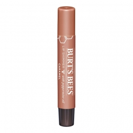 BurtsBeesLipShimmer