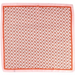 SjaalV1969CarrvanZijdeBB