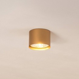 ArgonPlafondspotChloevastgoud