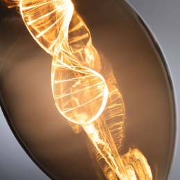 PaulmannLEDlampE2735WHelix1800Kgoud