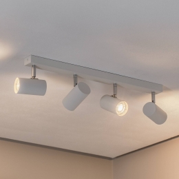 ArgonPlafondspotdaglichtwitchroomkleurigstaal4-lamps