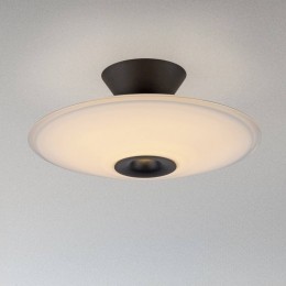 PaulNeuhausLEDplafondlampElipsawitzwart35cm