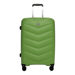 EMILYNOAHTrolleyENTravelbestieWerner