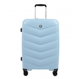 EMILYNOAHTrolleyENTravelbestieWerner