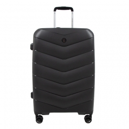 EMILYNOAHTrolleyENTravelbestieWerner