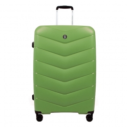 EMILYNOAHTrolleyENTravelbestieWerner