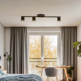 SIGMAPlafondspotSky3-lampszwart