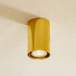 ArgonPlafondspotTesamessinghoogte11cm