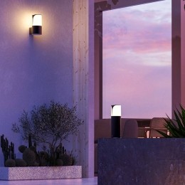 ForlightbuitenwandlampAstraantracietaluminiumbreedte9cm